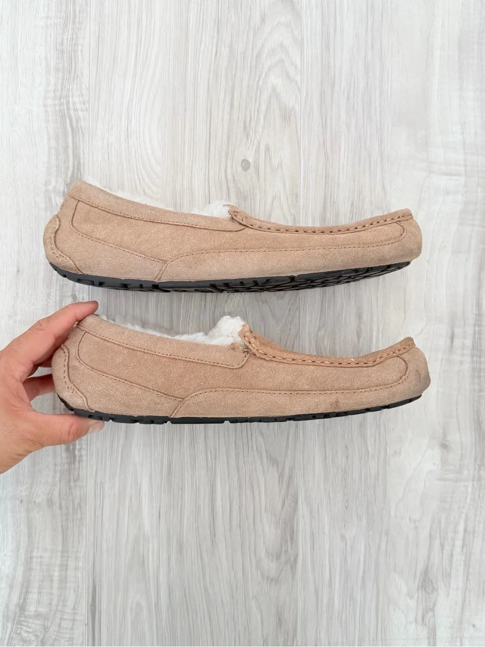 UGG Men's Ascot slippers in the Chestnut color